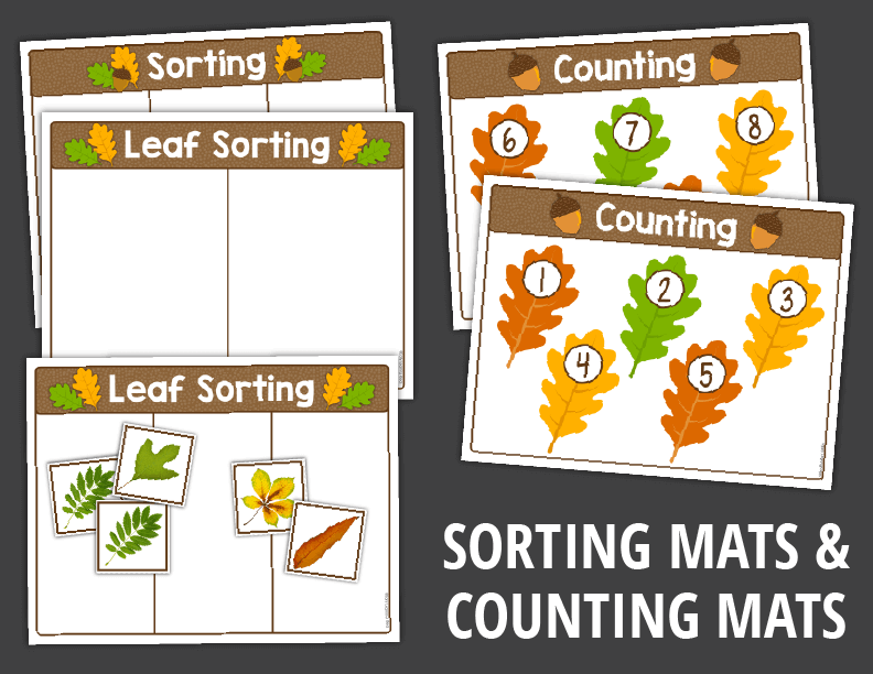 Leaf Investigation Activities