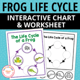 Life Cycle of a Frog Activity & Worksheet - Frogs & Pond Life Spring Activities