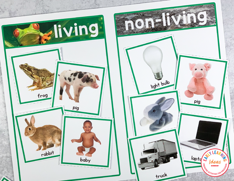 Life Science Sorting Activities for Preschool & PreK