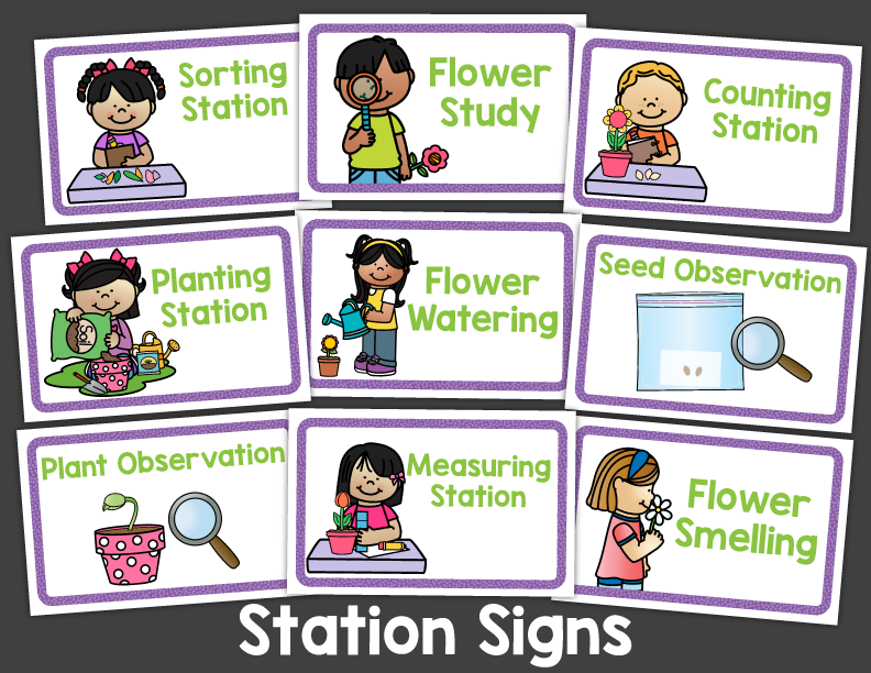 Flower Science Investigation Activities for Preschool