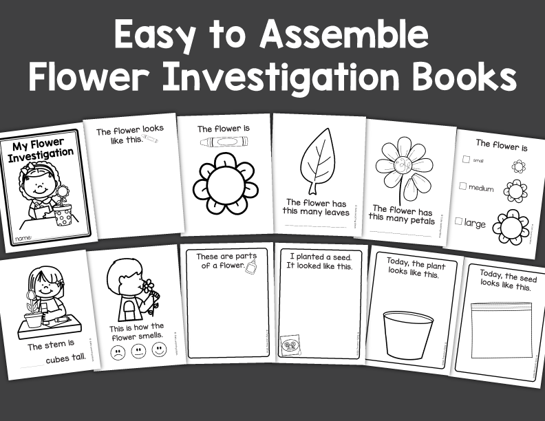 Flower Science Investigation Activities for Preschool