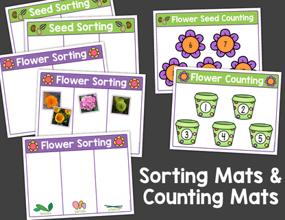 Flower Science Investigation Activities for Preschool