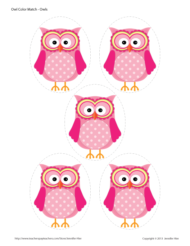 Owl Color Match & Size Sorting Activity