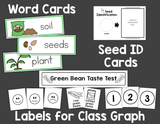 Plants & Seeds Science for Preschool & Pre-k | Green Bean Investigation
