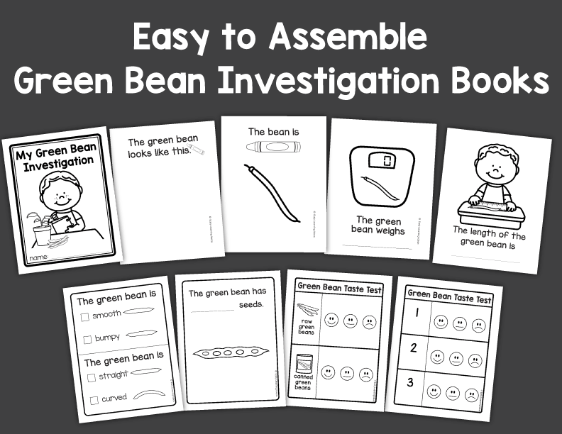 Plants & Seeds Science for Preschool & Pre-k | Green Bean Investigation