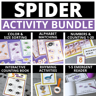 Spider Activity Bundle