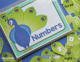 Bird Theme Number & Counting Activities 1-10